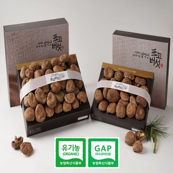 설악산표고버섯,설악산표고버섯 동고 250g, 600g